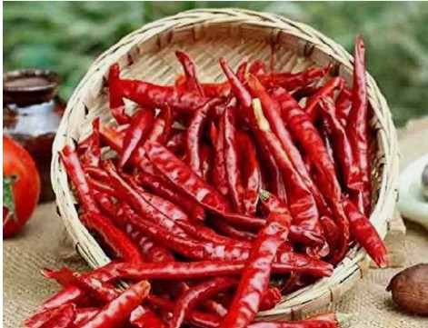 Chilli Importer Database